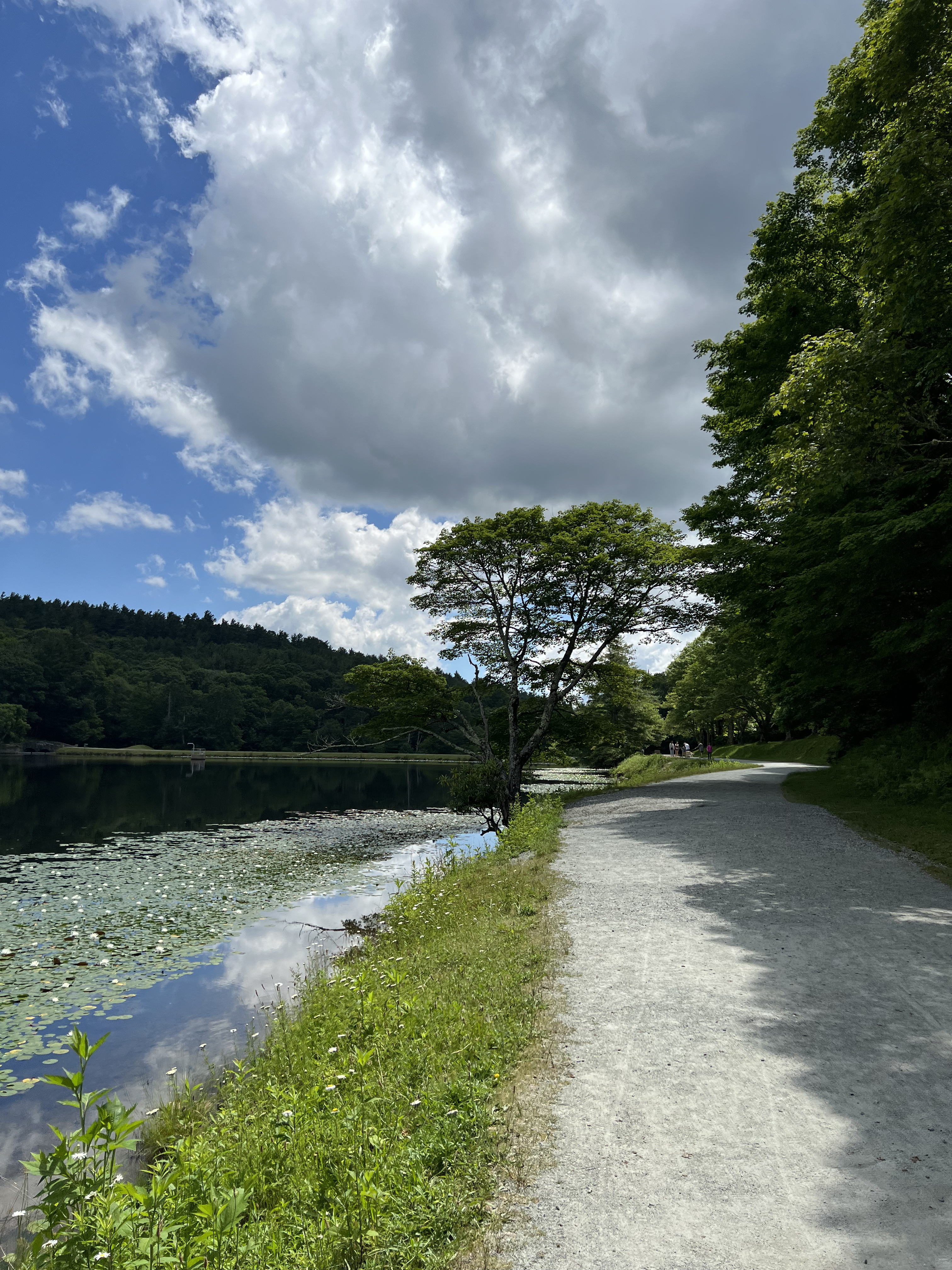 ./2024/08 - Banner Elk/IMG_1806.jpg